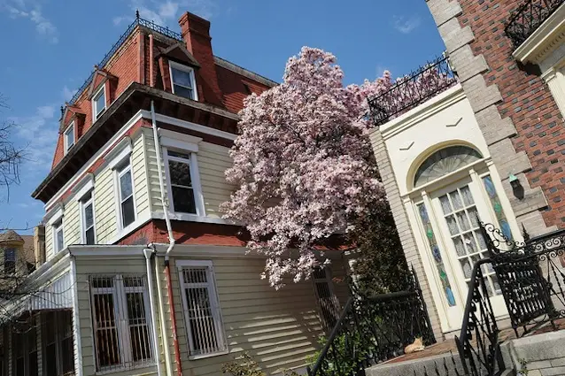 Lovely houses in Bushwick like the ones being purchased by investors priced out of Park Slope